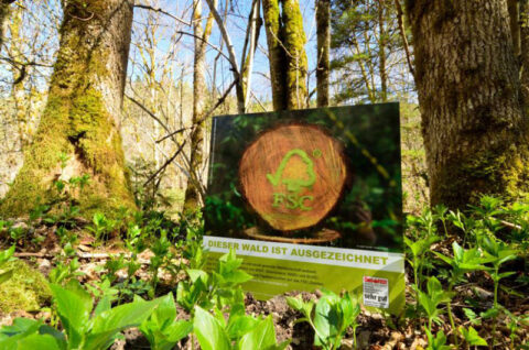 Nachhaltige Waldbewirtschaftung