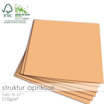 Cardstock "Struktur" 12"x12" 210g/m² (30,5 x 30,5cm) in struktur aprikose