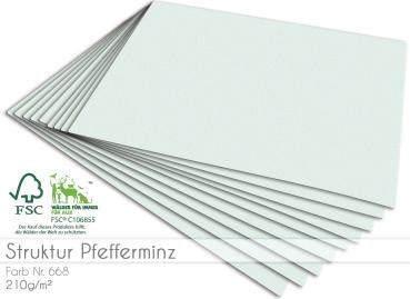 Cardstock "Struktur" - Bastelpapier 210g/m² DIN A4 in struktur pfefferminz