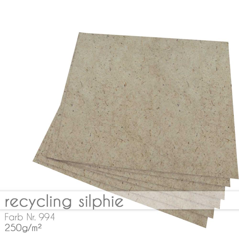 Cardstock "Recycling" 12"x12" 250g/m² (30,5 x 30,5cm) in recycling silphie