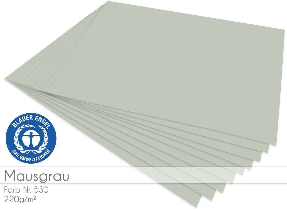 Cardstock "Basic" - Bastelkarton 220g/m² DIN A4 in mausgrau